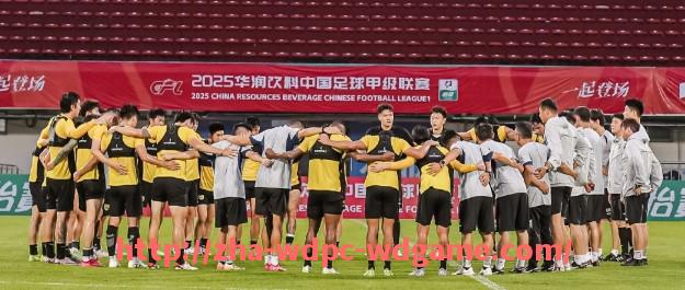 问鼎娱乐官方网站-2017年火箭队比赛记录及关键战役回顾