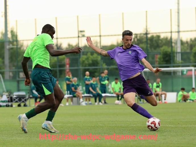 问鼎娱乐官方网站-法甲外援情况全面解析与引援效果评估