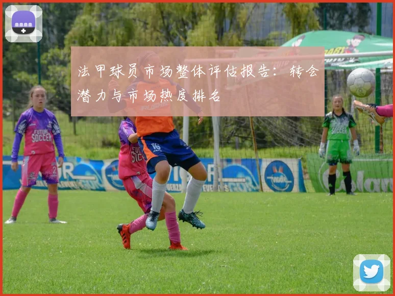 法甲球员市场整体评估报告：转会潜力与市场热度排名