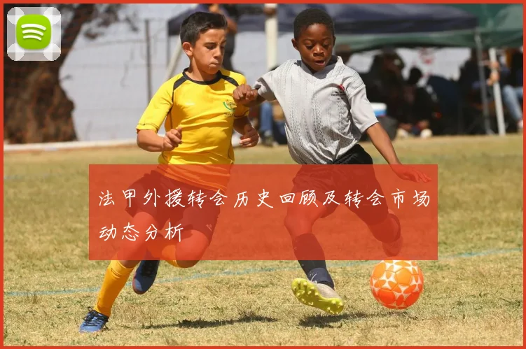 法甲外援转会历史回顾及转会市场动态分析